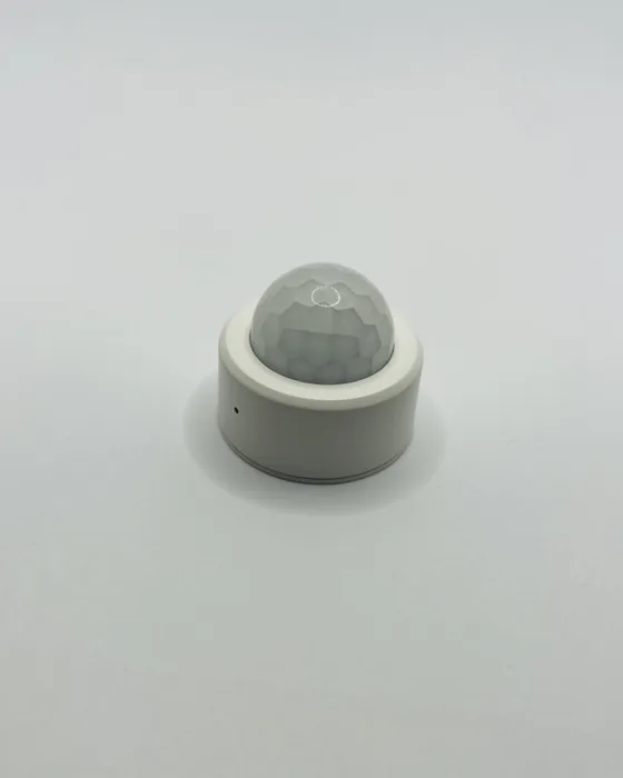 Motion sensor